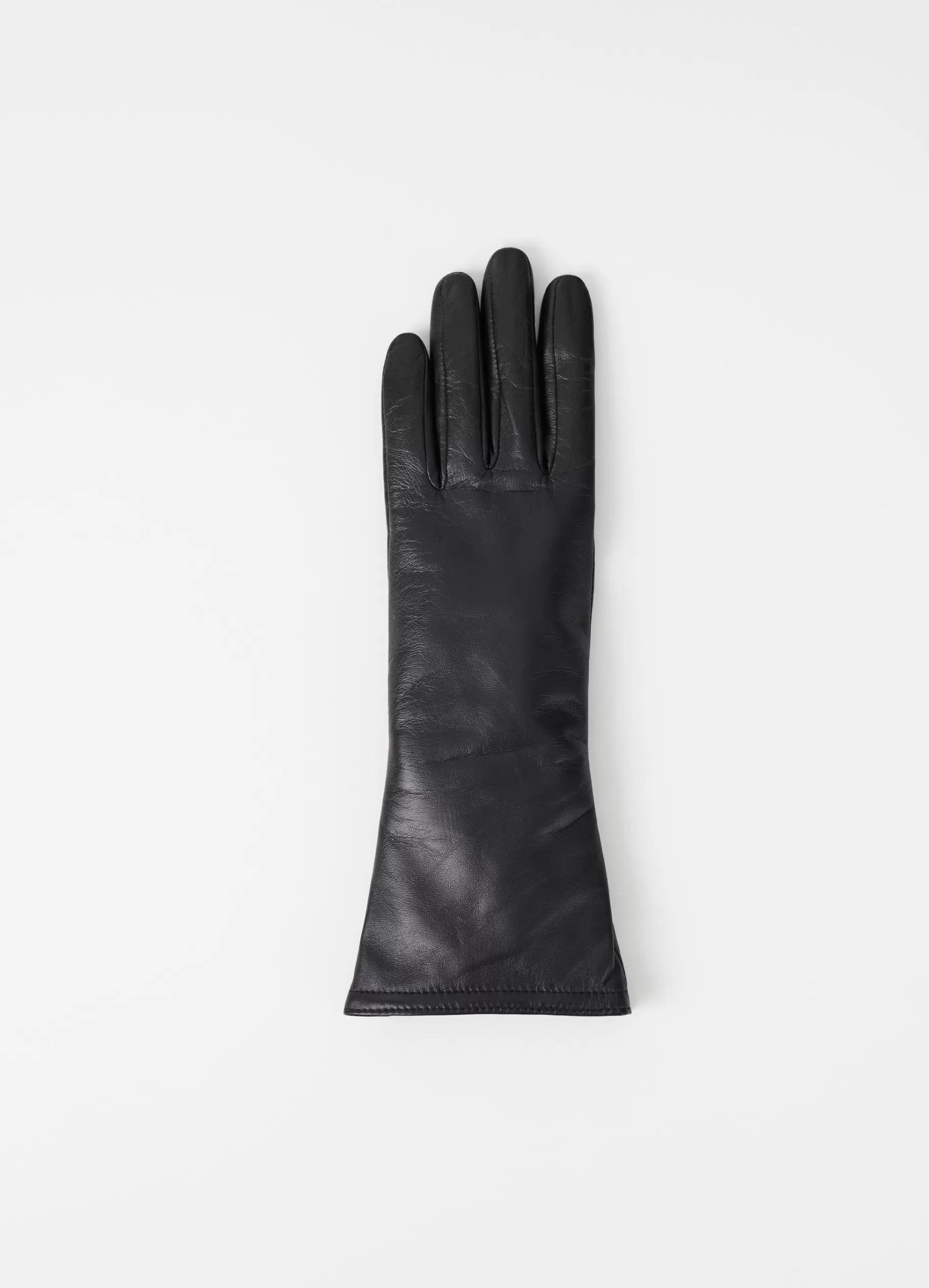 Dame Vagabond LONG GLOVE W